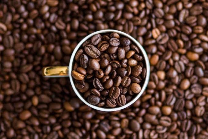 تفاوت قهوه عربیکا و ربوستا چیست؟ راهنمای کامل انتخاب قهوه